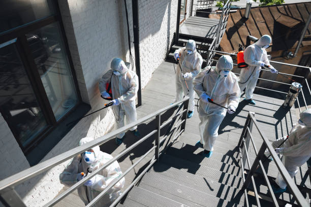 Best Biohazard Mold Removal  in Mangonia Park, FL